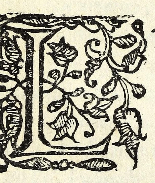 An illustration from L'vso della squadra mobile : con la quale per teorica, & pratica si misura geometricamente ogni distanza, altezza, e profondità : s'impara à perticare, liuellare, et pigliare in disegno le città, paesi, et prouincie : il tutto con le sue dimostrationi intagliate in rame, 1615, leaf 40