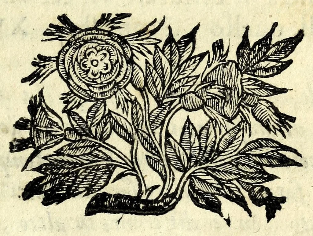 An illustration from L'vso della squadra mobile : con la quale per teorica, & pratica si misura geometricamente ogni distanza, altezza, e profondità : s'impara à perticare, liuellare, et pigliare in disegno le città, paesi, et prouincie : il tutto con le sue dimostrationi intagliate in rame, 1615, leaf 97