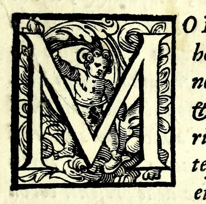 An illustration from L'vso del la sqvadra mobile. Con la qvale per teorica et per pratica si misura geometricamente ogni distanza, altezza, e profondità, s'impara a perticare, liuellare, et piglare in disegno le città, paesi, et prouincie. Il tutto con le sue dimostrationi intagliate in rame, 1598, leaf 11