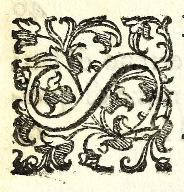 An illustration from L'vso del la sqvadra mobile. Con la qvale per teorica et per pratica si misura geometricamente ogni distanza, altezza, e profondità, s'impara a perticare, liuellare, et piglare in disegno le città, paesi, et prouincie. Il tutto con le sue dimostrationi intagliate in rame, 1598, leaf 122