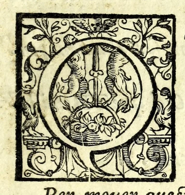An illustration from L'vso del la sqvadra mobile. Con la qvale per teorica et per pratica si misura geometricamente ogni distanza, altezza, e profondità, s'impara a perticare, liuellare, et piglare in disegno le città, paesi, et prouincie. Il tutto con le sue dimostrationi intagliate in rame, 1598, leaf 13