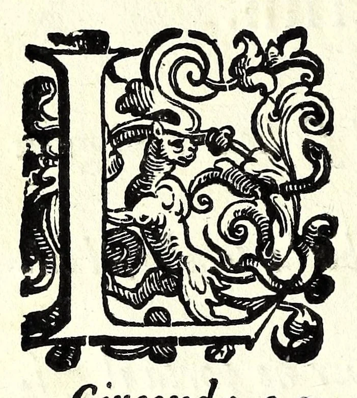 An illustration from L'vso del la sqvadra mobile. Con la qvale per teorica et per pratica si misura geometricamente ogni distanza, altezza, e profondità, s'impara a perticare, liuellare, et piglare in disegno le città, paesi, et prouincie. Il tutto con le sue dimostrationi intagliate in rame, 1598, leaf 14