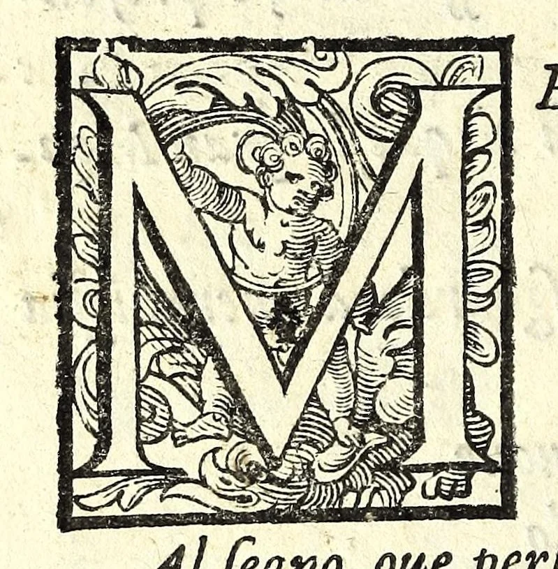 An illustration from L'vso del la sqvadra mobile. Con la qvale per teorica et per pratica si misura geometricamente ogni distanza, altezza, e profondità, s'impara a perticare, liuellare, et piglare in disegno le città, paesi, et prouincie. Il tutto con le sue dimostrationi intagliate in rame, 1598, leaf 16