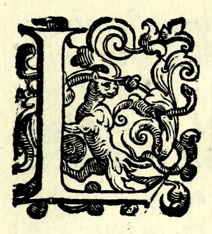 An illustration from L'vso del la sqvadra mobile. Con la qvale per teorica et per pratica si misura geometricamente ogni distanza, altezza, e profondità, s'impara a perticare, liuellare, et piglare in disegno le città, paesi, et prouincie. Il tutto con le sue dimostrationi intagliate in rame, 1598, leaf 19