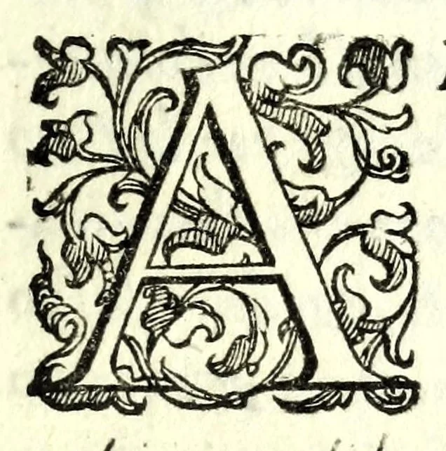 An illustration from L'vso del la sqvadra mobile. Con la qvale per teorica et per pratica si misura geometricamente ogni distanza, altezza, e profondità, s'impara a perticare, liuellare, et piglare in disegno le città, paesi, et prouincie. Il tutto con le sue dimostrationi intagliate in rame, 1598, leaf 33