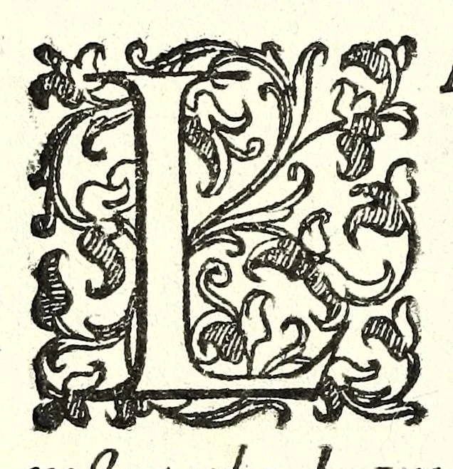 An illustration from L'vso del la sqvadra mobile. Con la qvale per teorica et per pratica si misura geometricamente ogni distanza, altezza, e profondità, s'impara a perticare, liuellare, et piglare in disegno le città, paesi, et prouincie. Il tutto con le sue dimostrationi intagliate in rame, 1598, leaf 40