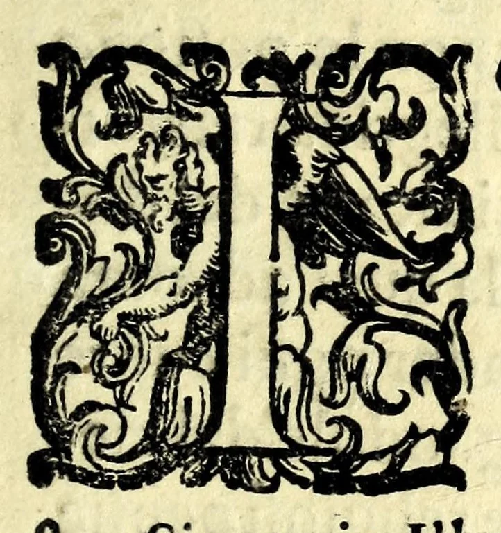 An illustration from L'vso del la sqvadra mobile. Con la qvale per teorica et per pratica si misura geometricamente ogni distanza, altezza, e profondità, s'impara a perticare, liuellare, et piglare in disegno le città, paesi, et prouincie. Il tutto con le sue dimostrationi intagliate in rame, 1598, leaf 9
