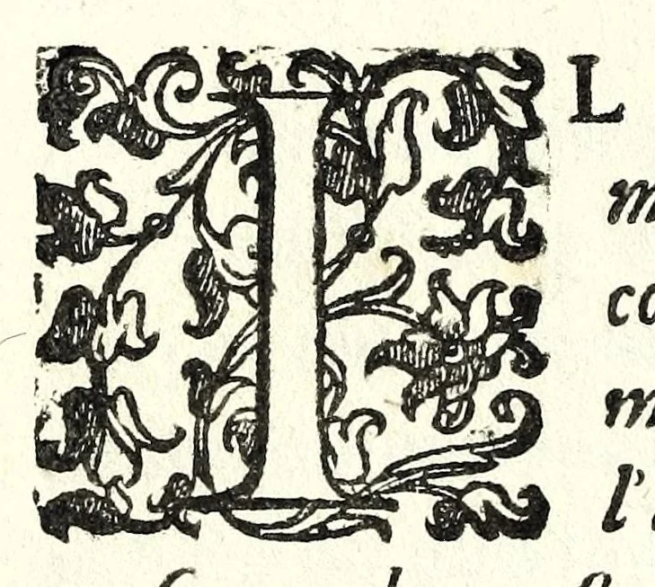 An illustration from L'vso del la sqvadra mobile. Con la qvale per teorica et per pratica si misura geometricamente ogni distanza, altezza, e profondità, s'impara a perticare, liuellare, et piglare in disegno le città, paesi, et prouincie. Il tutto con le sue dimostrationi intagliate in rame, 1598, leaf 98