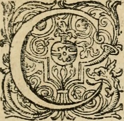 An illustration from Lvsvs serivs : quo Hermes sive Mercurius rex mundanorum omnium sub homine existentium, post longam disceptationem in concilio octovirali habitam, homine rationali arbitro, judicatus & constitutus est, 1616, leaf 12