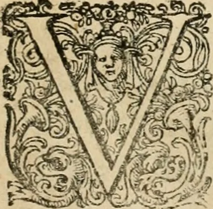 An illustration from Lvsvs serivs : quo Hermes sive Mercurius rex mundanorum omnium sub homine existentium, post longam disceptationem in concilio octovirali habitam, homine rationali arbitro, judicatus & constitutus est, 1616, leaf 8