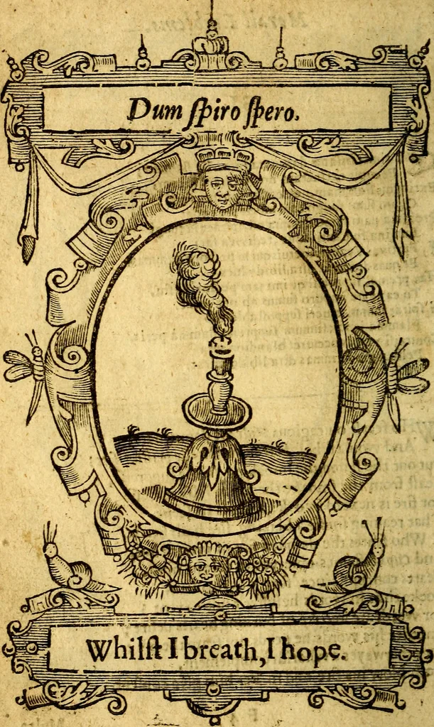 An illustration from Lychnocausia : sive Moralia facum emblemata : lights, morall emblems, 1638, leaf 111