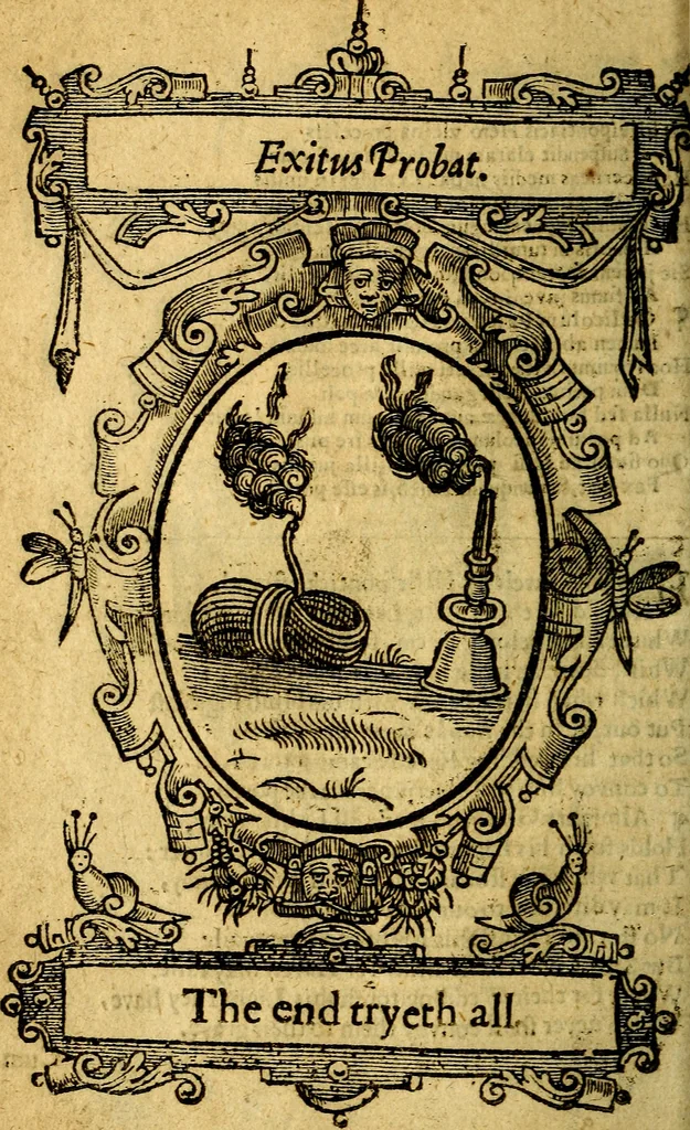 An illustration from Lychnocausia : sive Moralia facum emblemata : lights, morall emblems, 1638, leaf 117