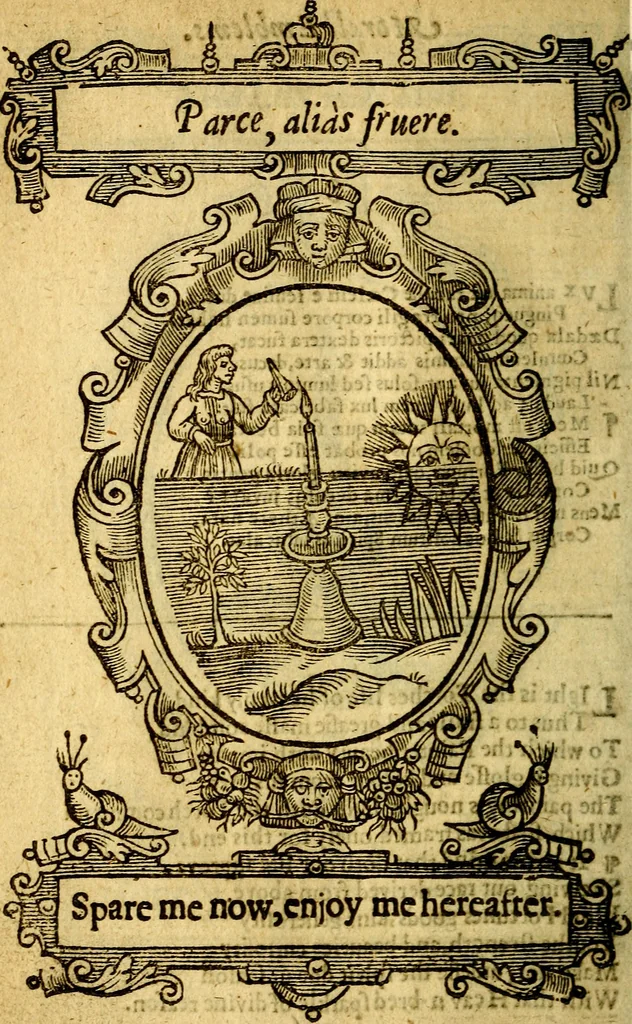 An illustration from Lychnocausia : sive Moralia facum emblemata : lights, morall emblems, 1638, leaf 57
