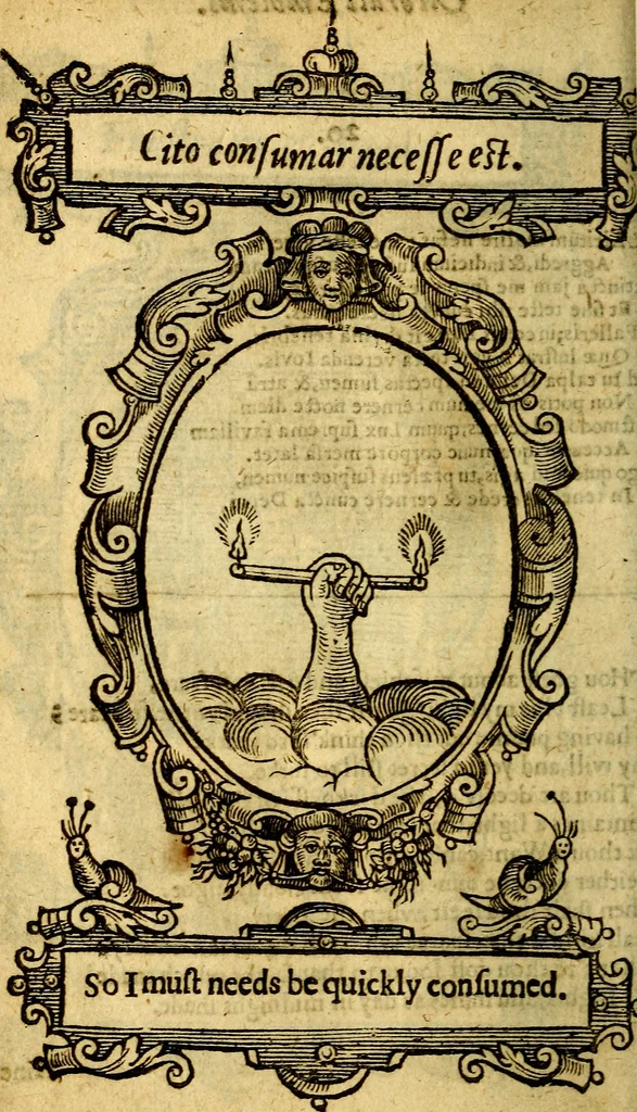 An illustration from Lychnocausia : sive Moralia facum emblemata : lights, morall emblems, 1638, leaf 81