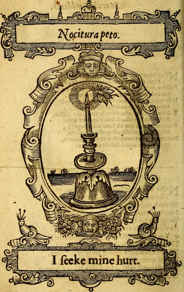 An illustration from Lychnocausia : sive Moralia facum emblemata : lights, morall emblems, 1638, leaf 89