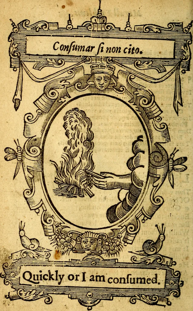 An illustration from Lychnocausia : sive Moralia facum emblemata : lights, morall emblems, 1638, leaf 91