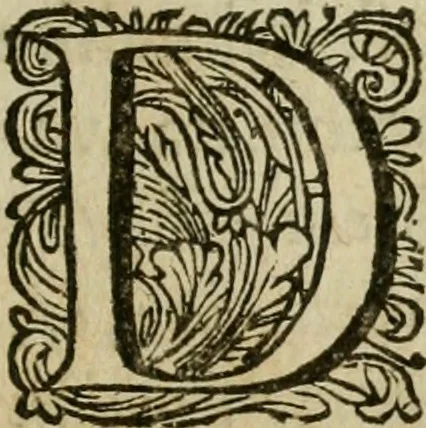 An illustration from Lyk-predicatie op de begravenisse van Hare Hoogheit, mevrouwe de Princesse Douariere d'Orange, geschiet by avont, met solemnele stacy, den 21. van winter-maand, 1675 : na haar salig overlyden op den 8. van herfst-maant, in 't 74. jaar des ouderdoms : gedaan daags daar aan, op de groote zaal van haar hof in 's Gravenhage, op ordre en in 't bywesen Harer Hoogheden de doorlugtige nakomelingen en erven, 1676, leaf 22