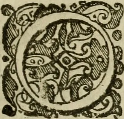 An illustration from Lyk-predicatie op de begravenisse van Hare Hoogheit, mevrouwe de Princesse Douariere d'Orange, geschiet by avont, met solemnele stacy, den 21. van winter-maand, 1675 : na haar salig overlyden op den 8. van herfst-maant, in 't 74. jaar des ouderdoms : gedaan daags daar aan, op de groote zaal van haar hof in 's Gravenhage, op ordre en in 't bywesen Harer Hoogheden de doorlugtige nakomelingen en erven, 1676, leaf 46
