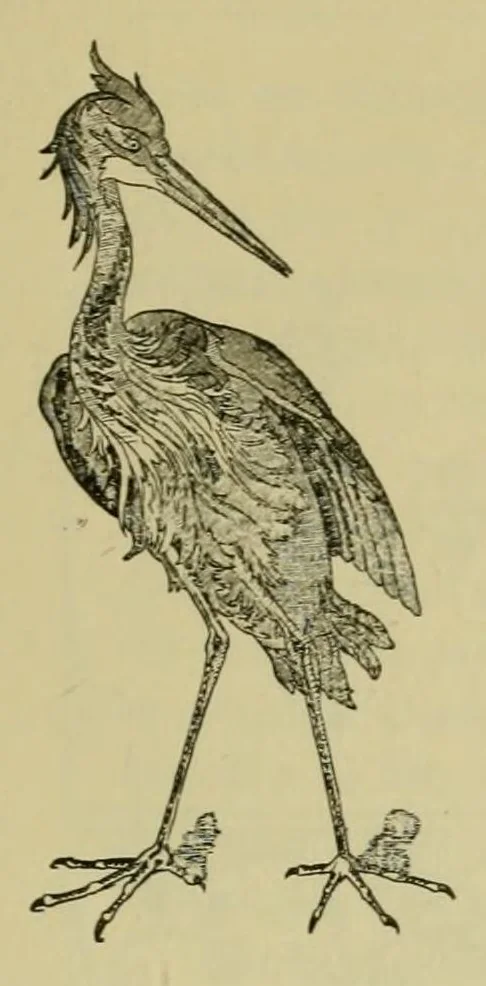An illustration from Lyon à l'Exposition universelle de 1889, 1890, leaf 115