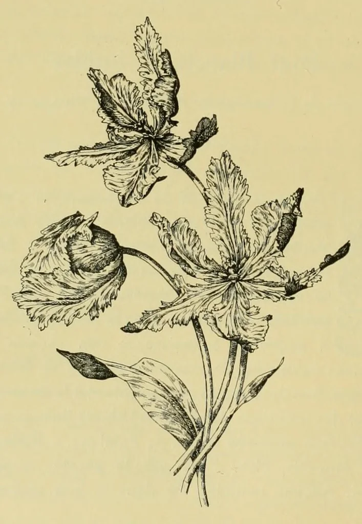 An illustration from Lyon à l'Exposition universelle de 1889, 1890, leaf 274