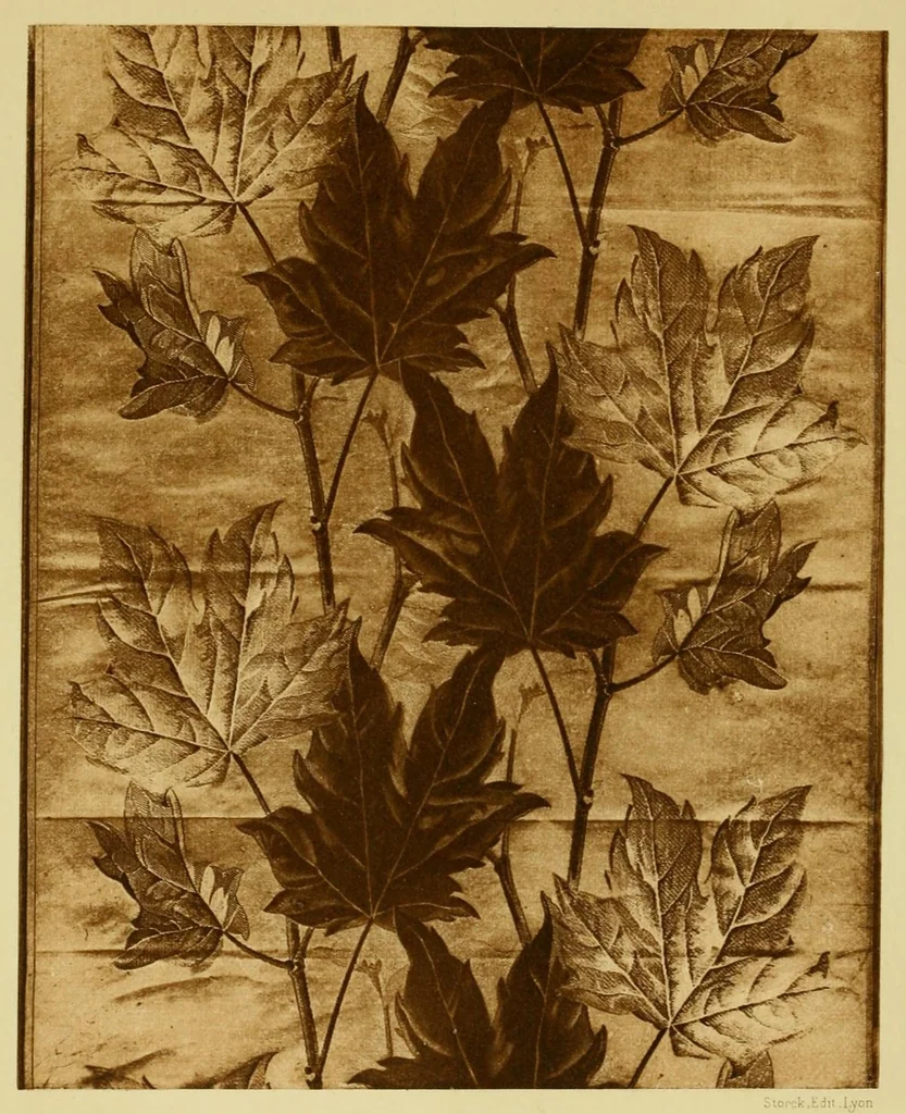 An illustration from Lyon à l'Exposition universelle de 1889, 1890, leaf 90