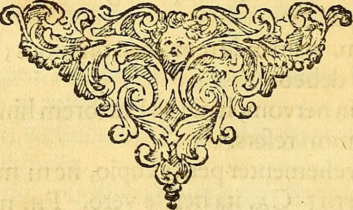 An illustration from M. Acci Plauti Comdiæ : accedit commentarius ex variorum notis & observationibus, 1684, leaf 315