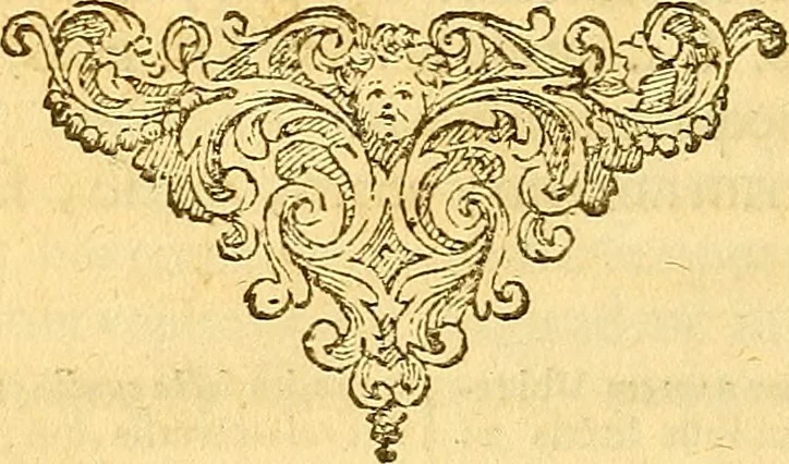 An illustration from M. Acci Plauti Comdiæ : accedit commentarius ex variorum notis & observationibus, 1684, leaf 585