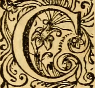 An illustration from M. Acci Plauti Comdiæ : accedit commentarius ex variorum notis & observationibus, 1684, leaf 10