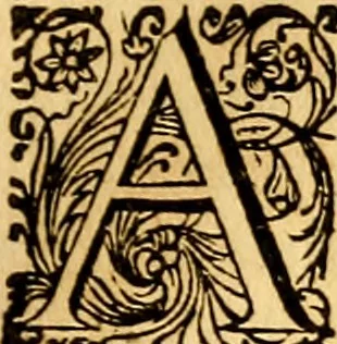 An illustration from M. Acci Plauti Comdiæ : accedit commentarius ex variorum notis & observationibus, 1684, leaf 218