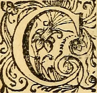 An illustration from M. Acci Plauti Comdiæ : accedit commentarius ex variorum notis & observationibus, 1684, leaf 411