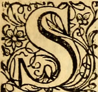 An illustration from M. Acci Plauti Comdiæ : accedit commentarius ex variorum notis & observationibus, 1684, leaf 456