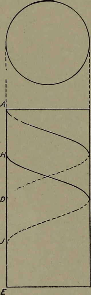 An illustration from Machine drawing, a practical guide to the standard methods of graphical representation of machines, including complete detail drawings of a duplex pump and of a direct-current generator, 1920, leaf 83