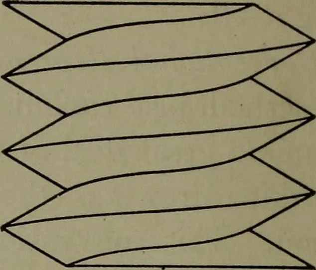An illustration from Machine drawing, a practical guide to the standard methods of graphical representation of machines, including complete detail drawings of a duplex pump and of a direct-current generator, 1920, leaf 89