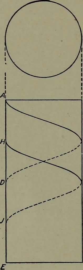 An illustration from Machine drawing; a practical guide to the standard methods of graphical representation of machines, including complete detail drawings of a duplex pump and of a direct-current generator, 1914, leaf 83