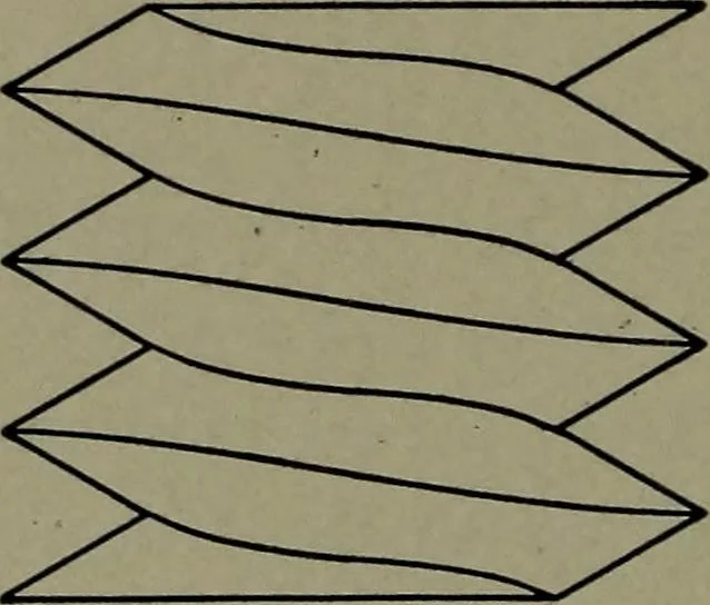 An illustration from Machine drawing; a practical guide to the standard methods of graphical representation of machines, including complete detail drawings of a duplex pump and of a direct-current generator, 1914, leaf 89
