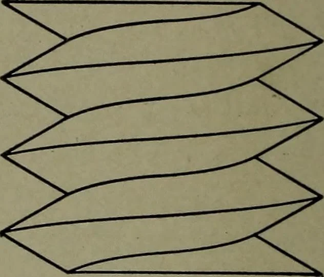 An illustration from Machine drawing; a practical guide to the standard methods of graphical representation of machines, including complete detail drawings of a duplex pump and of a direct-current generator, 1914, leaf 89
