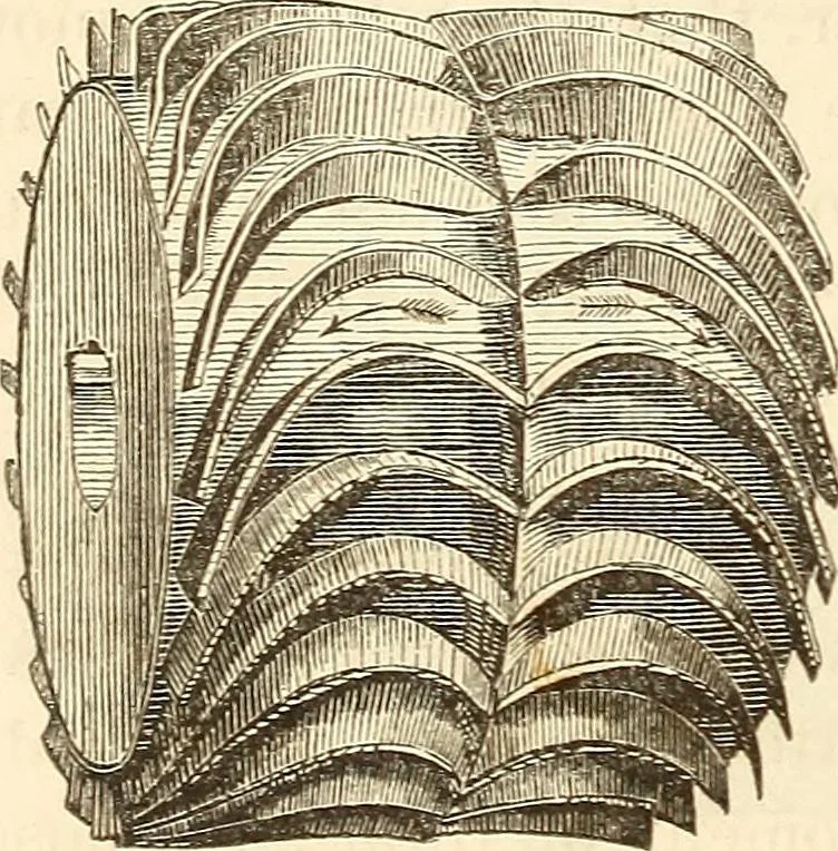 An illustration from Machinery and processes of the industrial arts, and apparatus of the exact sciences, 1869, leaf 133