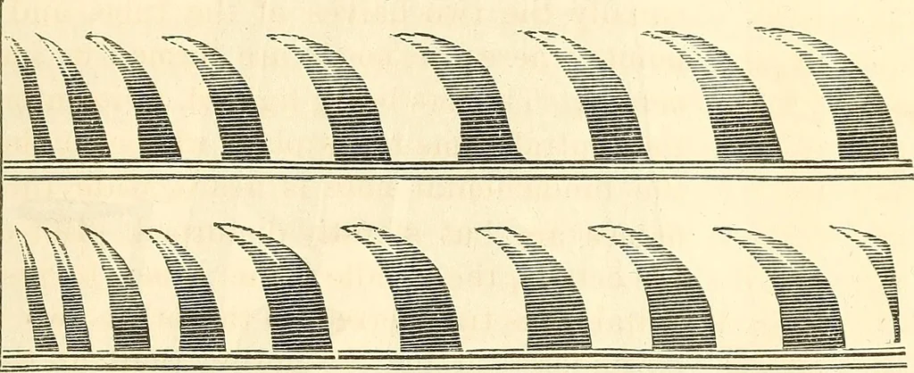 An illustration from Machinery and processes of the industrial arts, and apparatus of the exact sciences, 1869, leaf 530