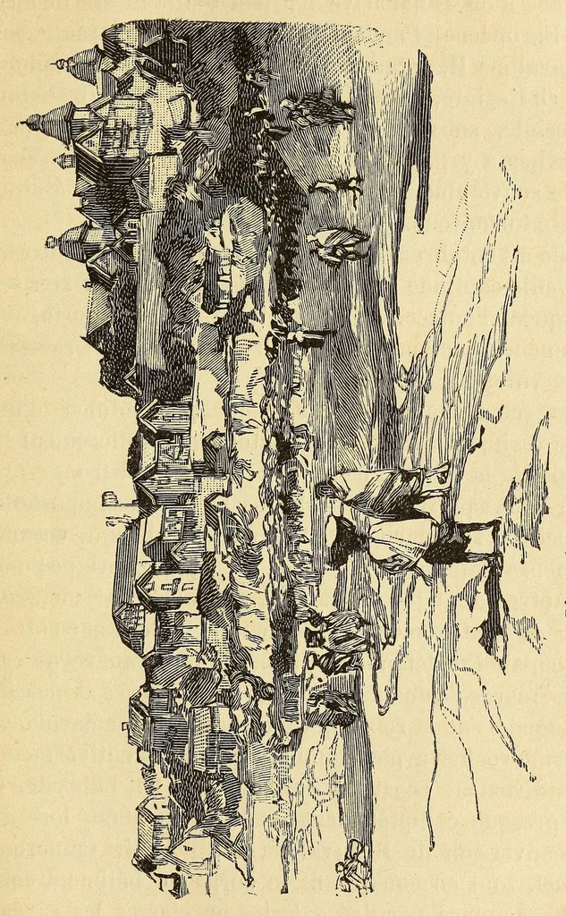 An illustration from Madagascar depuis sa découverte jusqu'à nos jours, 1888, leaf 245