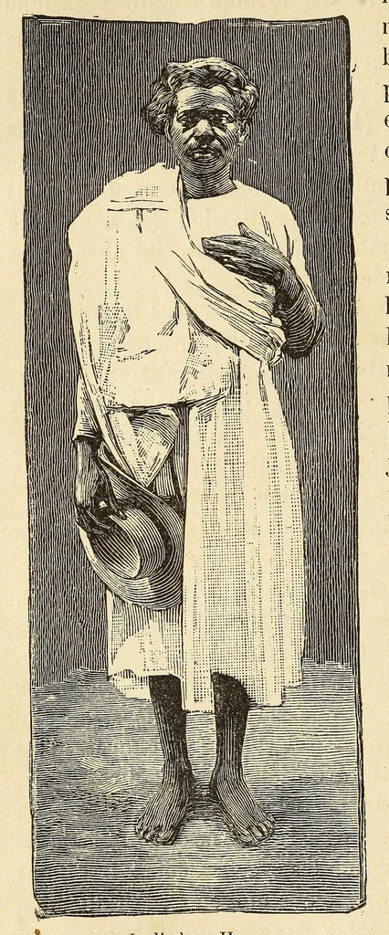An illustration from Madagascar depuis sa découverte jusqu'à nos jours, 1888, leaf 262