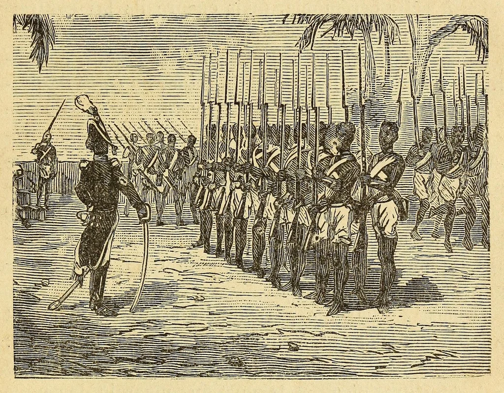 An illustration from Madagascar depuis sa découverte jusqu'à nos jours, 1888, leaf 313