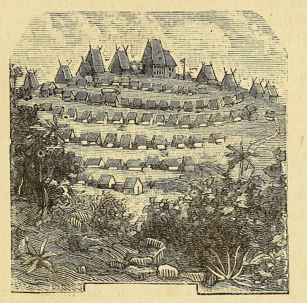An illustration from Madagascar depuis sa découverte jusqu'à nos jours, 1888, leaf 325