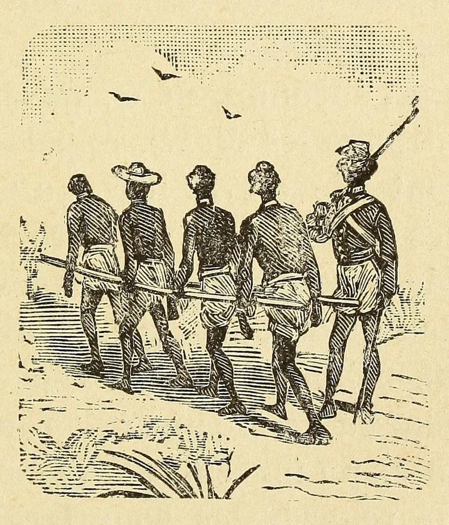 An illustration from Madagascar depuis sa découverte jusqu'à nos jours, 1888, leaf 341