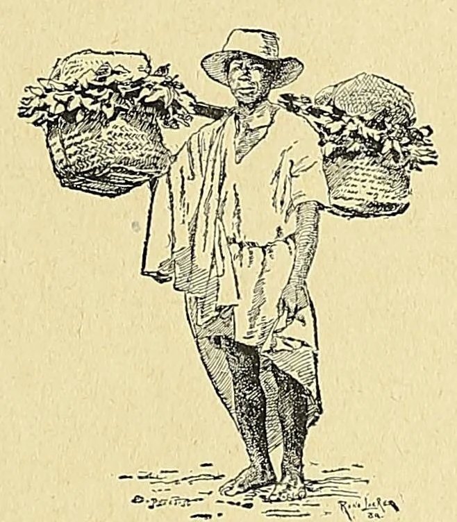 An illustration from Madagascar et la mission catholique, 1895, leaf 195
