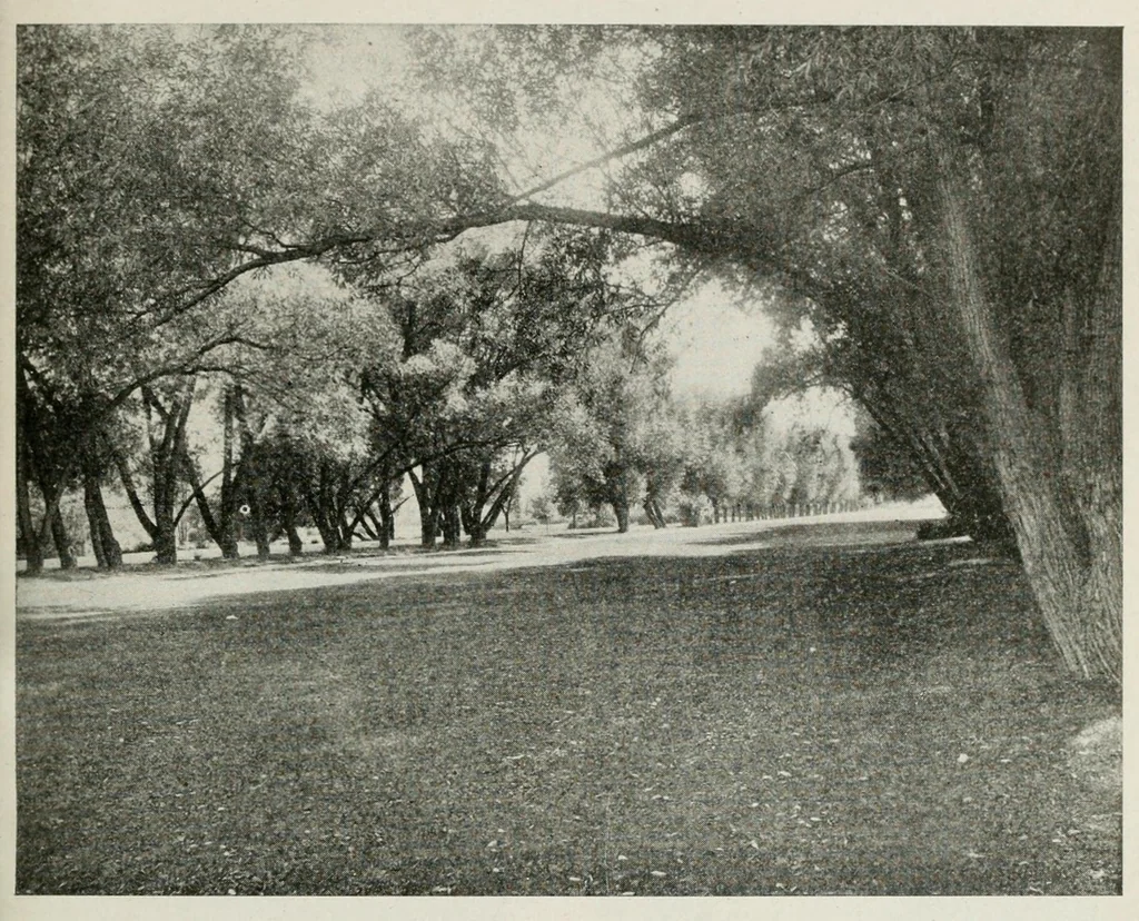 An illustration from Madison, "the four lake city," recreational survey.., 1915, leaf 43