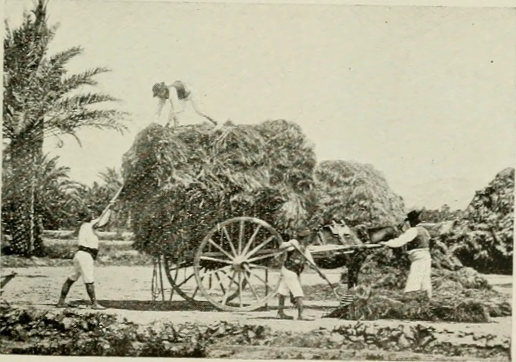 An illustration from Madrid : an historical description and handbook of the Spanish Capital, 1909, leaf 544
