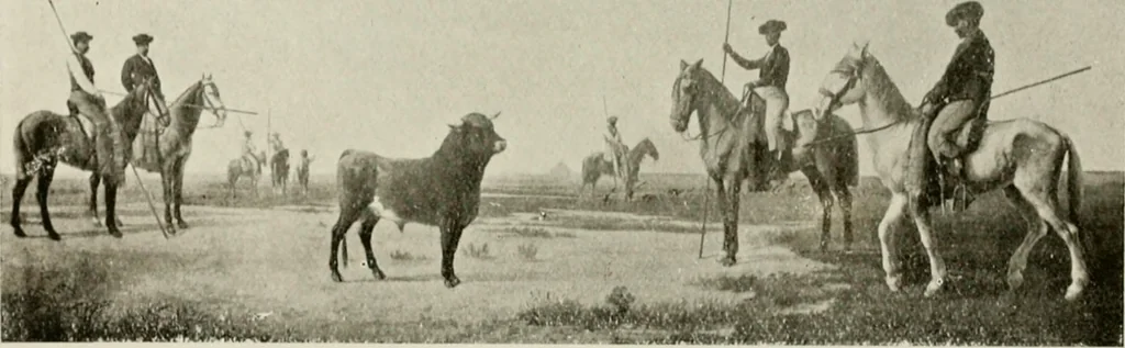 An illustration from Madrid : an historical description and handbook of the Spanish Capital, 1909, leaf 618