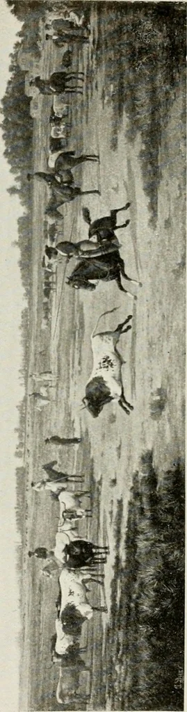 An illustration from Madrid : an historical description and handbook of the Spanish Capital, 1909, leaf 619