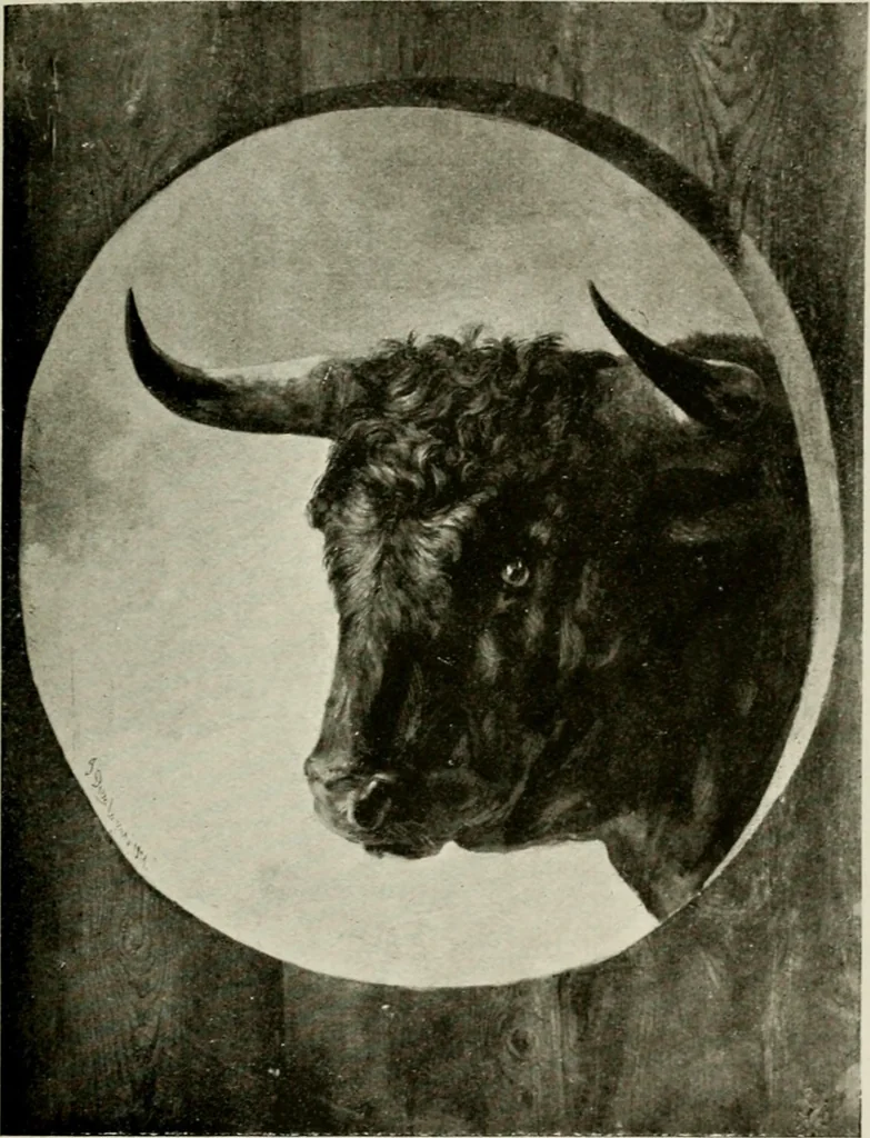 An illustration from Madrid : an historical description and handbook of the Spanish Capital, 1909, leaf 626
