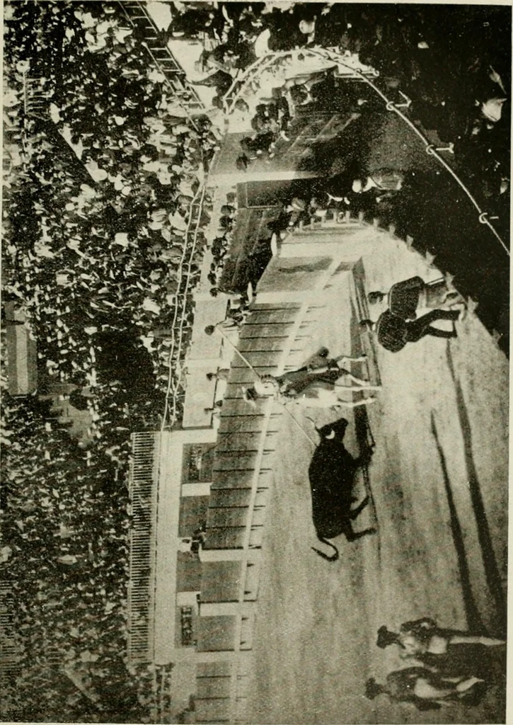An illustration from Madrid : an historical description and handbook of the Spanish Capital, 1909, leaf 632
